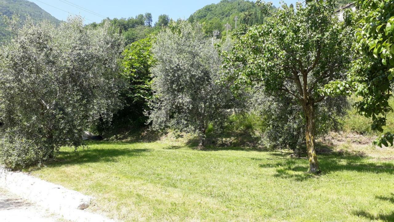 Casa Gina Garden And View By Gardadomusmea Villa Tremosine Eksteriør billede